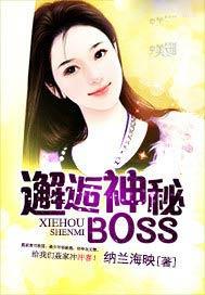 邂逅神秘BOSS